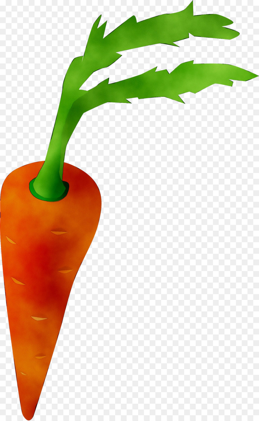 Pimienta De Chile，Pimienta De Cayena PNG