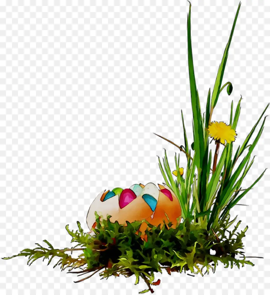 Diseño Floral，Pascua PNG