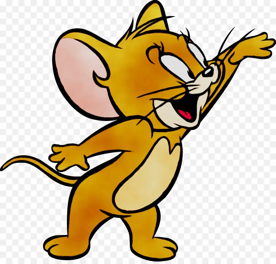 El Ratón Jerry，Gato Tom PNG