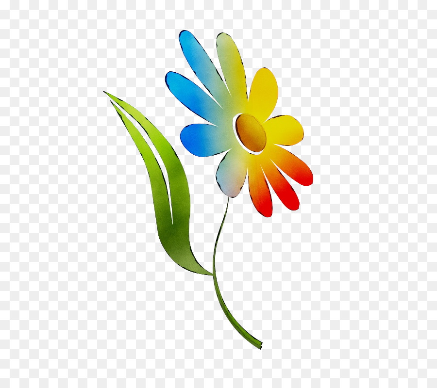 Video，Flor PNG