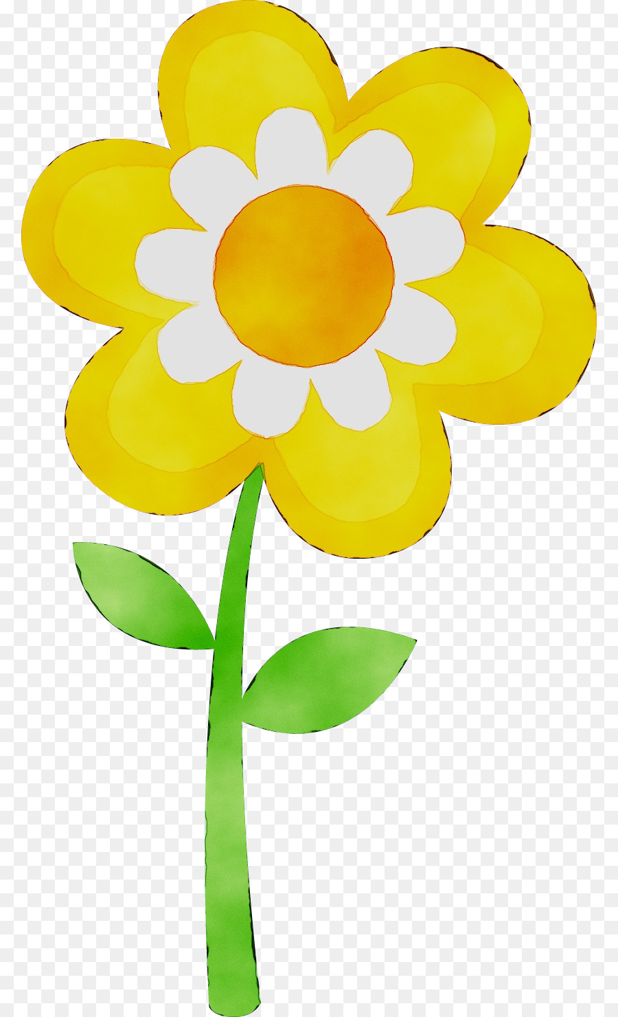 Flor，Diseño Floral PNG