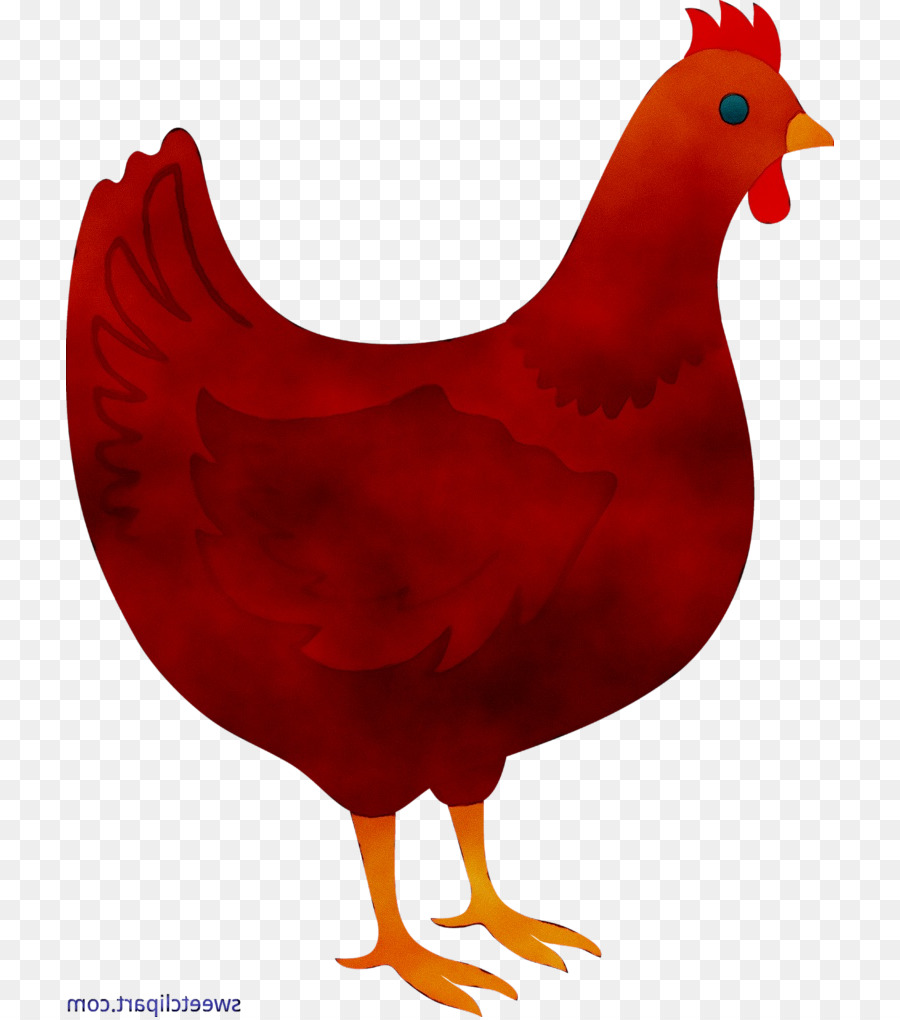 Gallo，Pollo PNG