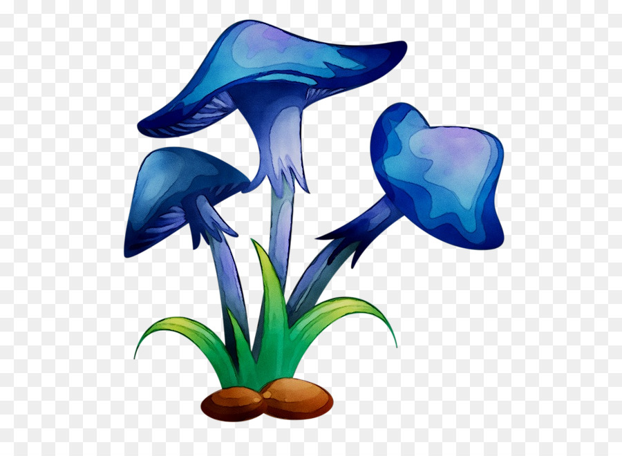 Las Plantas，Arbusto PNG