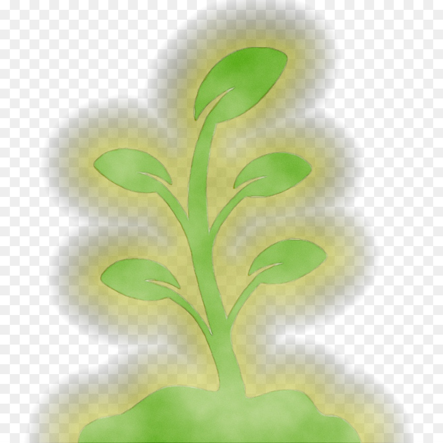 Hoja，Tallo De La Planta PNG