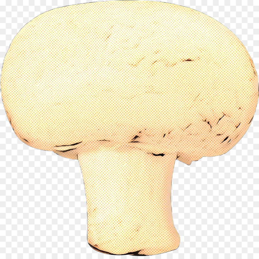 Agaricaceae，Seta PNG