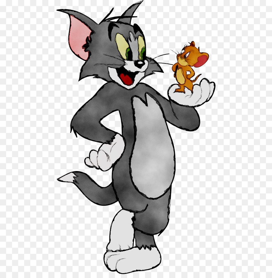 Tom Y Jerry，Video PNG