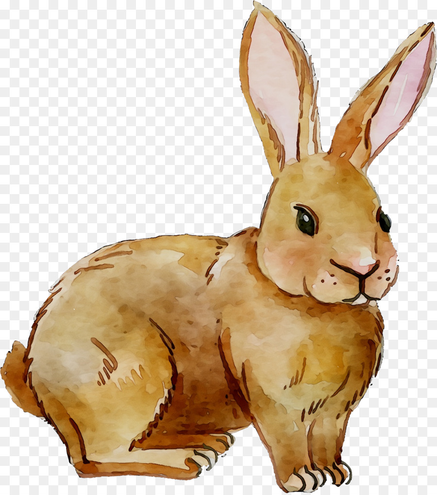 Nacionales De Conejo，Conejito De Pascua PNG