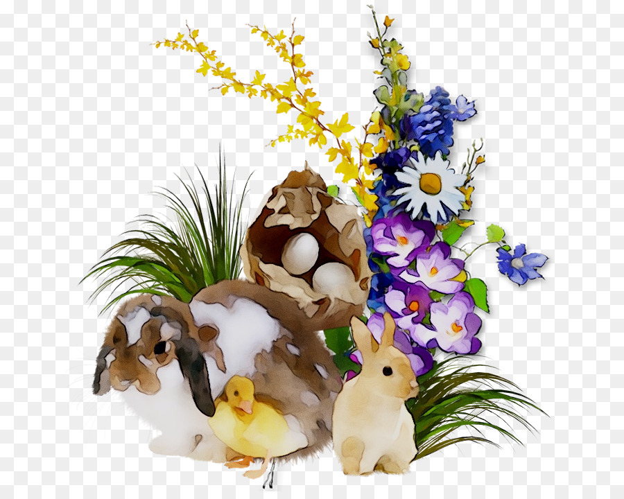 Conejito De Pascua，Pascua PNG