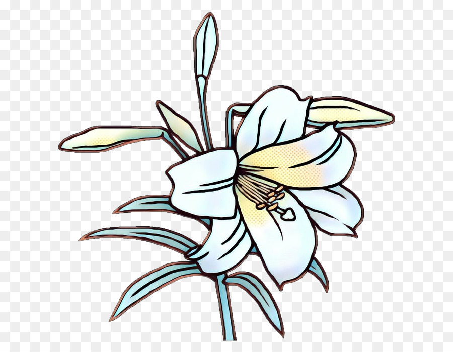 Orquídea Blanca，Florecer PNG