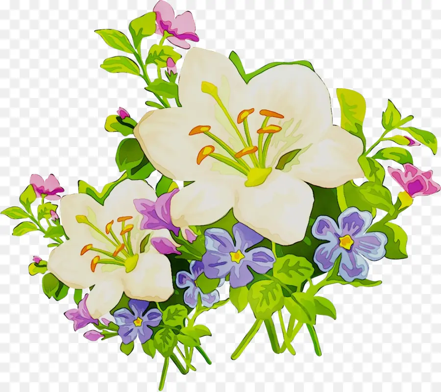 Lirio De Pascua，Arumlily PNG