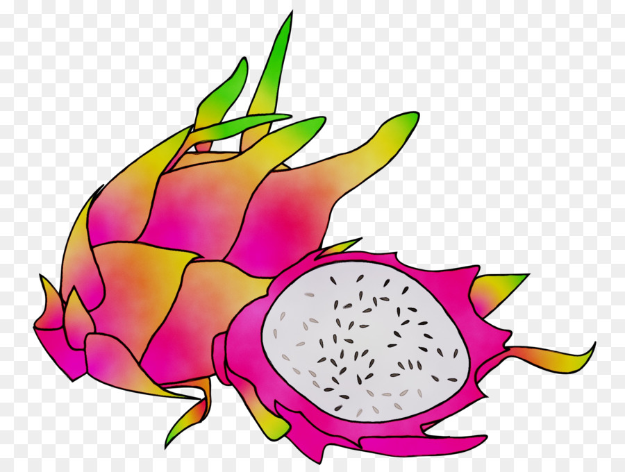 La Pitaya，La Fruta PNG