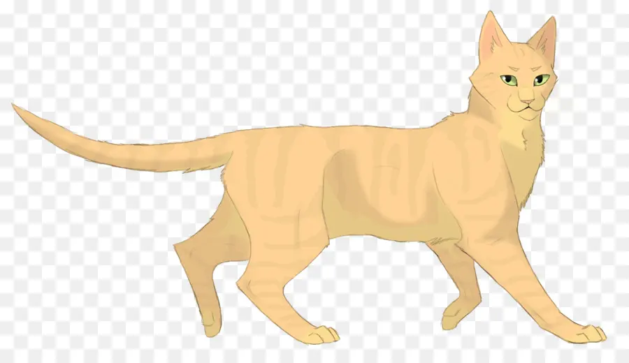 Gato，Los Guerreros PNG