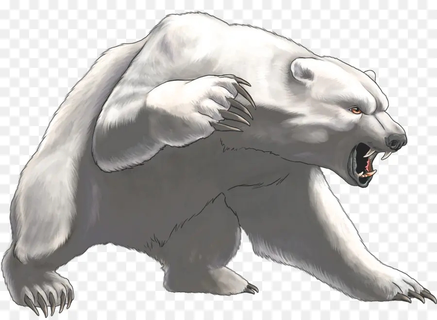 Oso Polar，Oso PNG