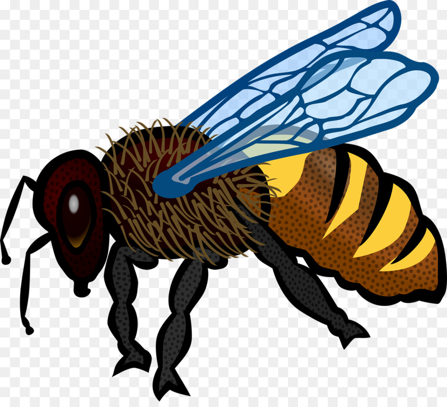 Abeja，Libro Para Colorear PNG