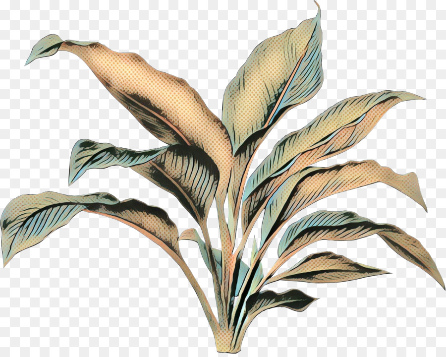 Hoja，Tallo De La Planta PNG