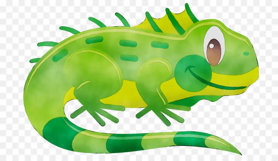 Lagarto，Reptiles PNG