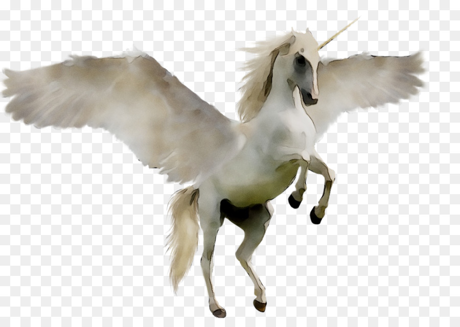 Unicornio Alado，Fantasía PNG