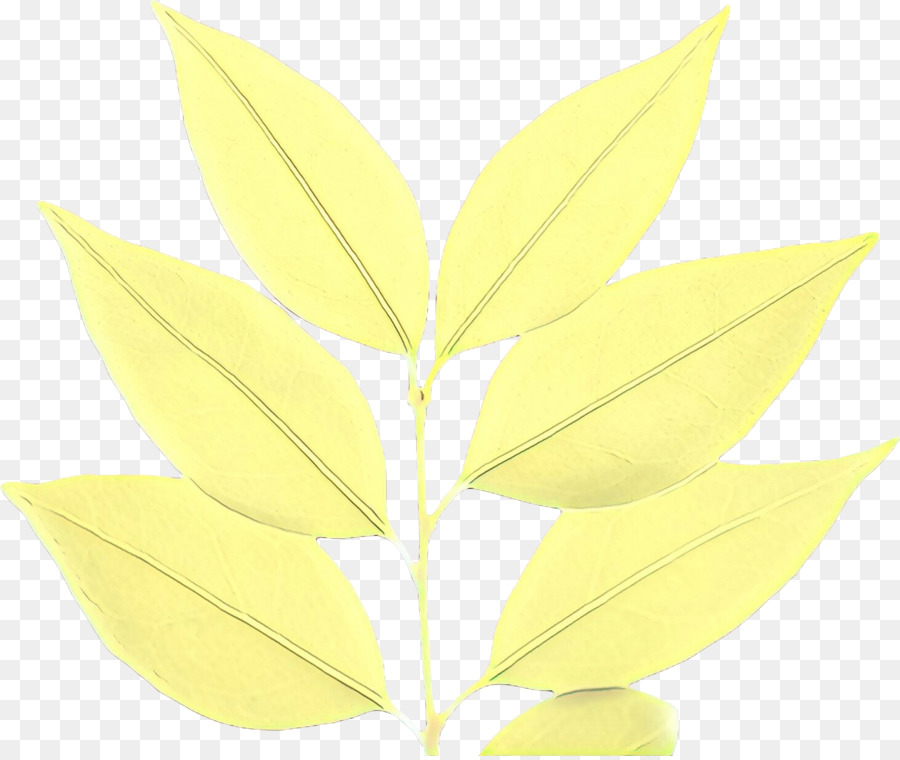 Hoja，Tallo De La Planta PNG