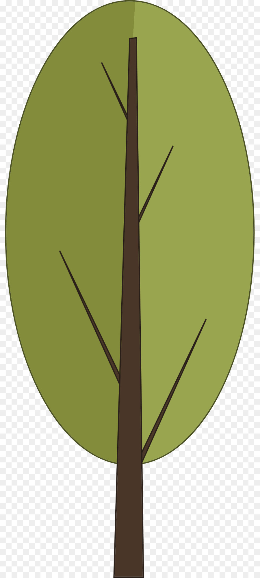 Árbol，Hoja PNG