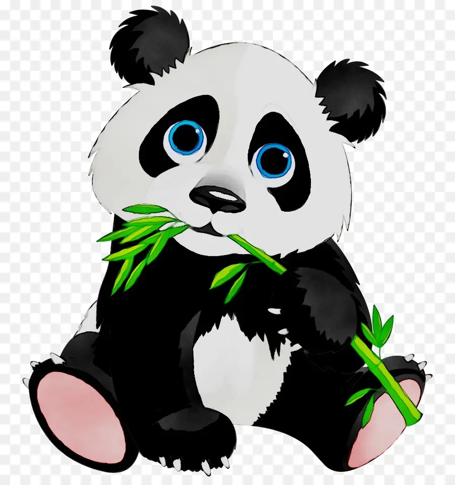 Panda，Bambú PNG