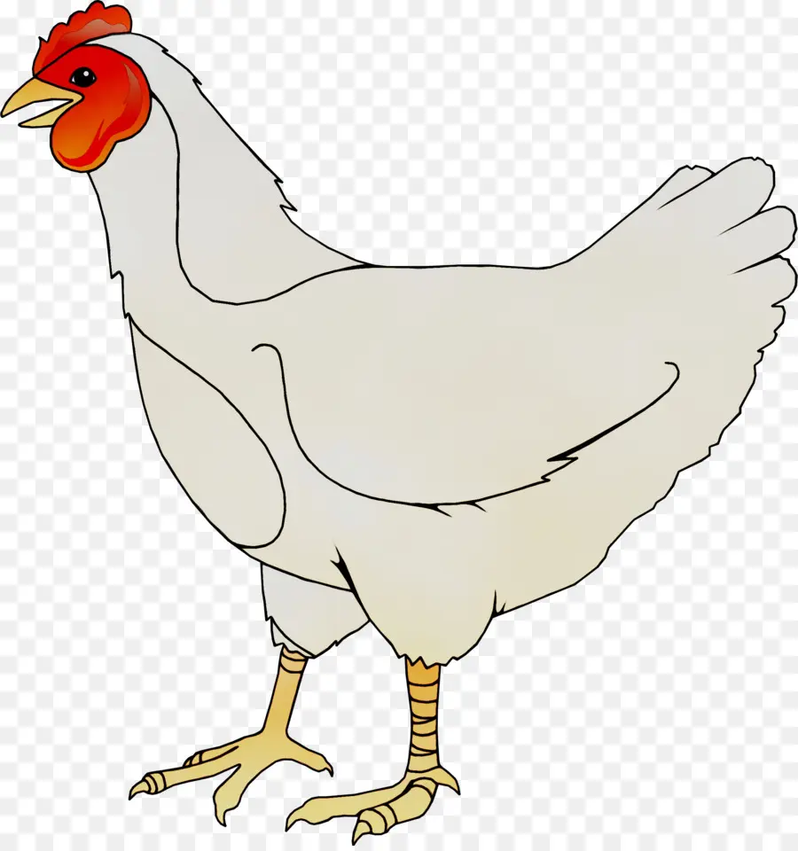 De Pollos De Engorde，Cochin Pollo PNG