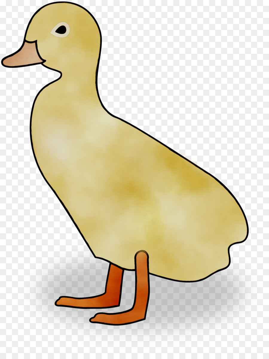 El ánade Real，Pato PNG