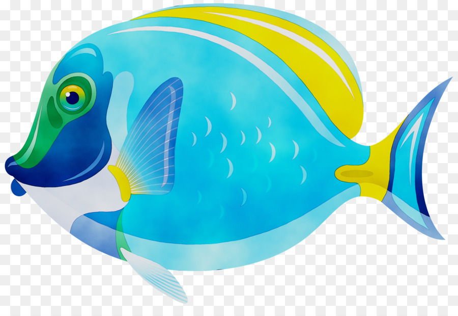 Los Peces，Iconos De Equipo PNG