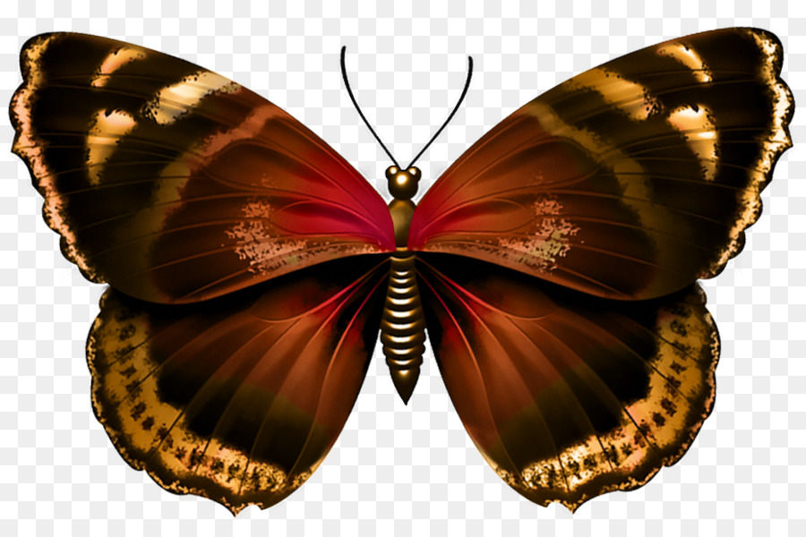 Los Insectos，Morado PNG