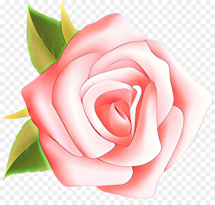 Rosa，Las Rosas De Jardín PNG