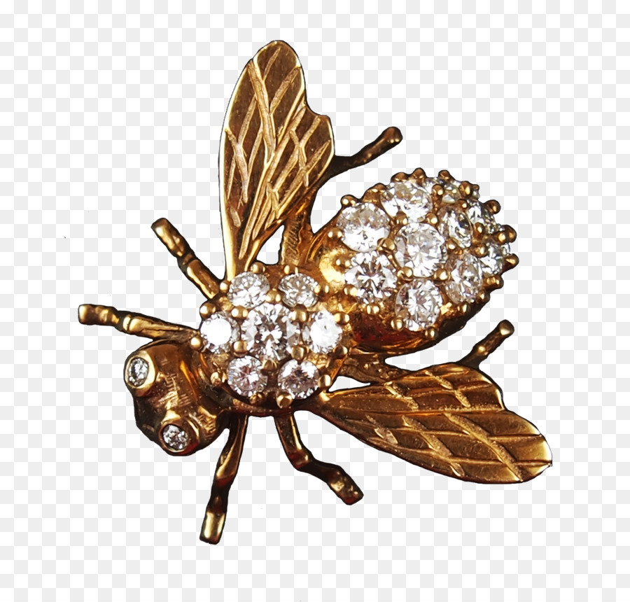 Broche，La Miel De Abeja PNG