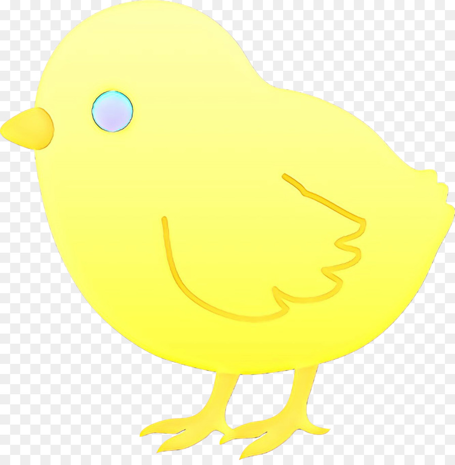 Pato，Pico PNG