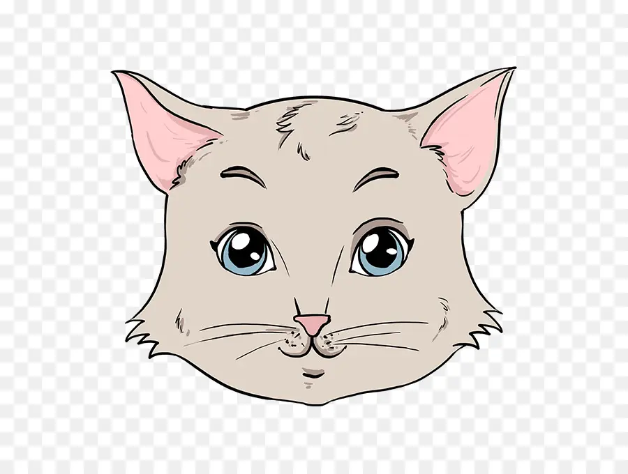 Gato，Dibujo PNG