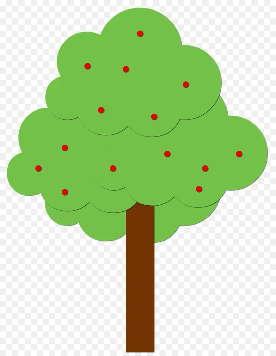 árbol，Planta PNG