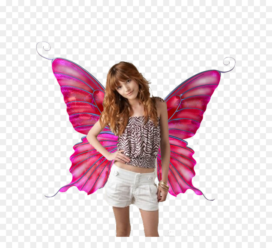 Mariposa，La Fotografía PNG