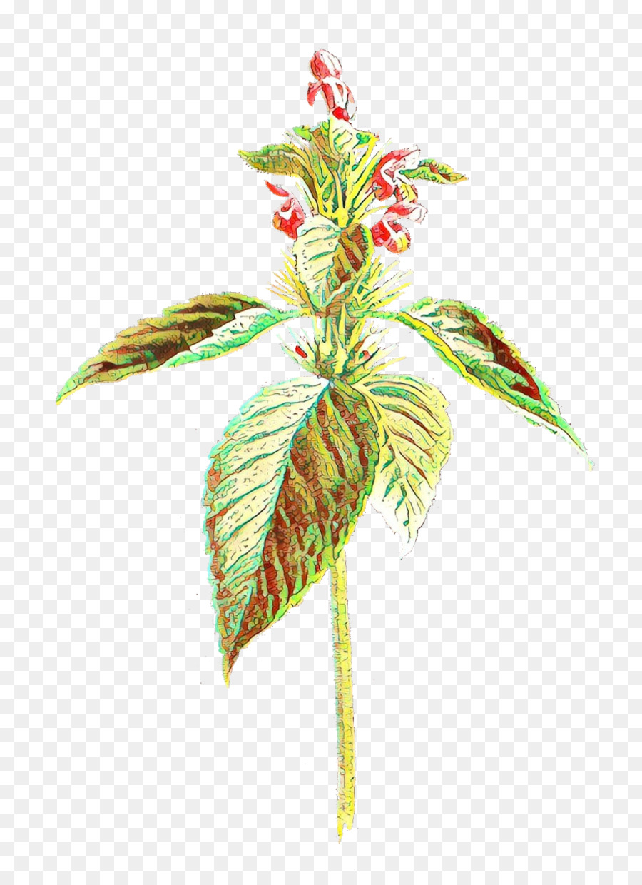 Hoja，Tallo De La Planta PNG