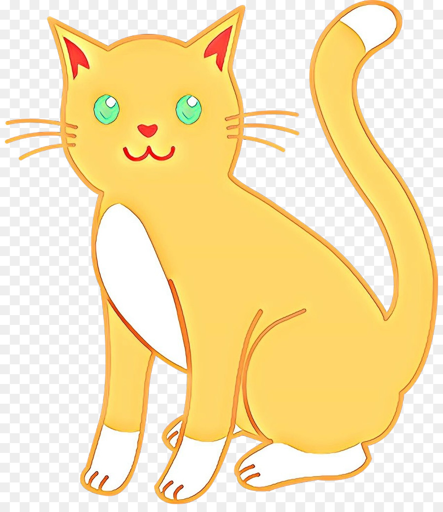 Gato Blanco，Gato PNG