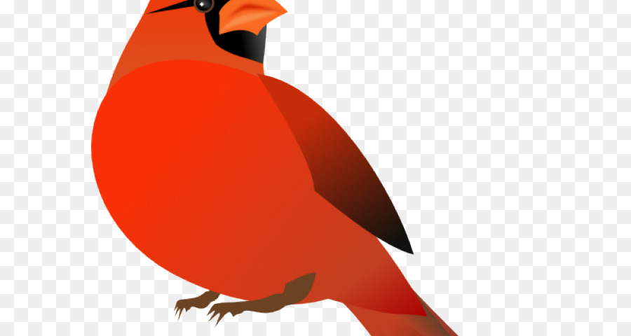 Cardenal Del Norte，El Cardenal PNG