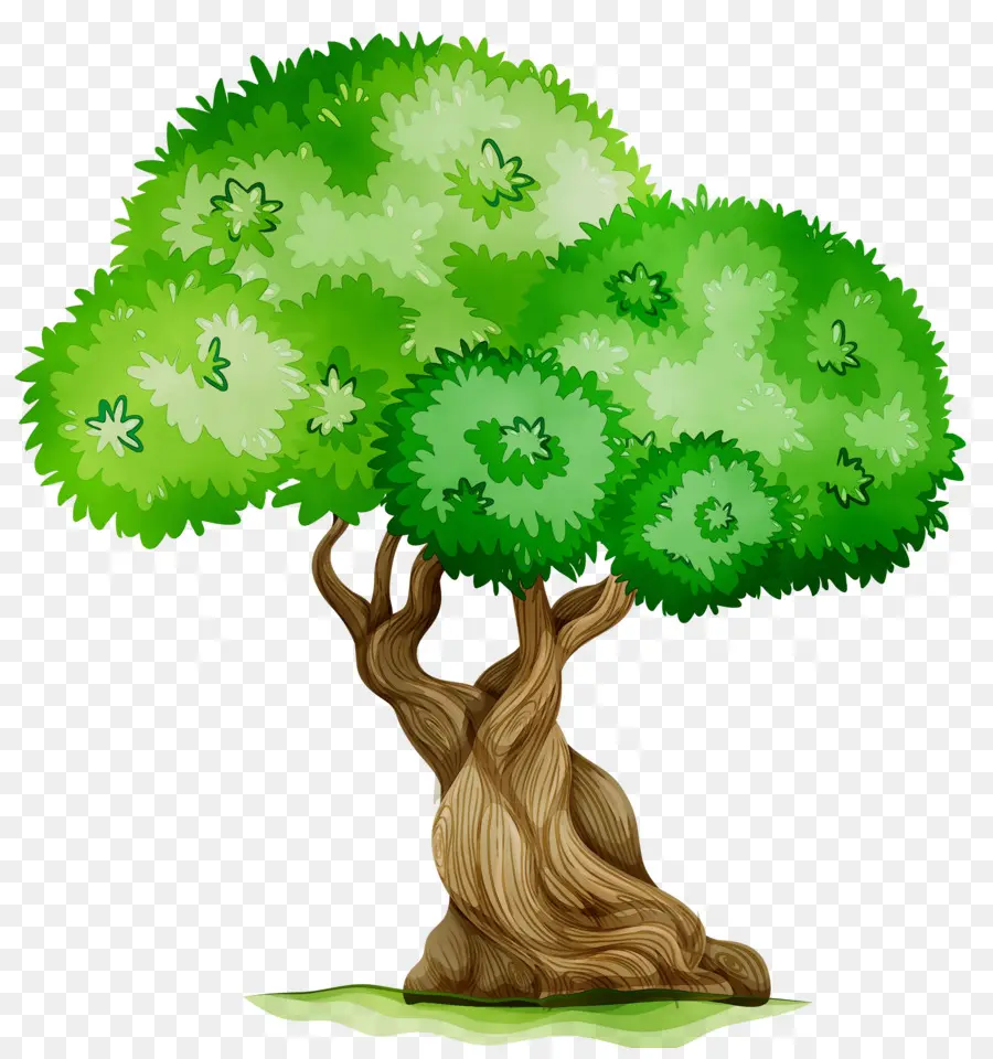 Árbol Tupido Verde，Árbol PNG