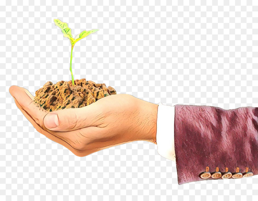 Planta De Mano，Crecimiento PNG