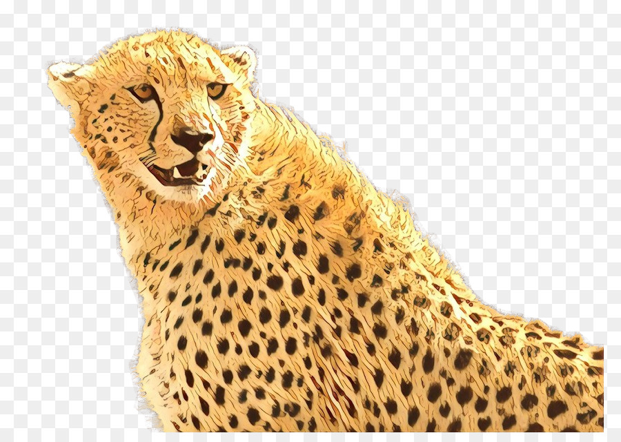 Leopardo，Manchado PNG