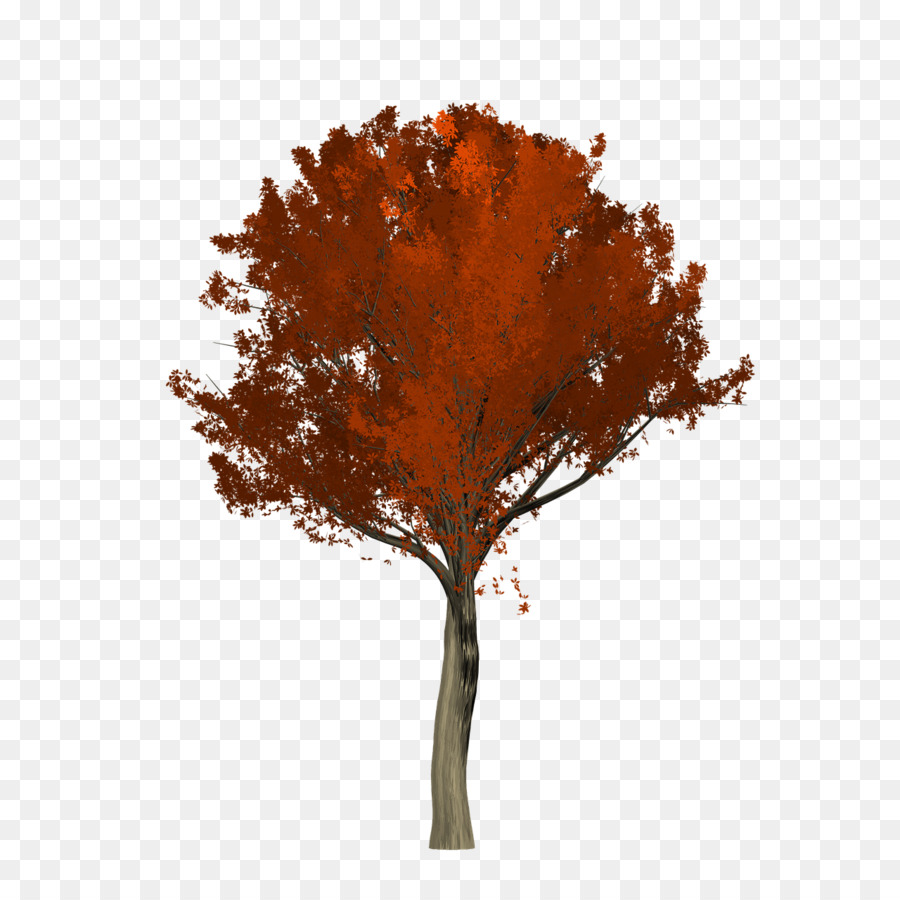 Árbol，Ramita PNG