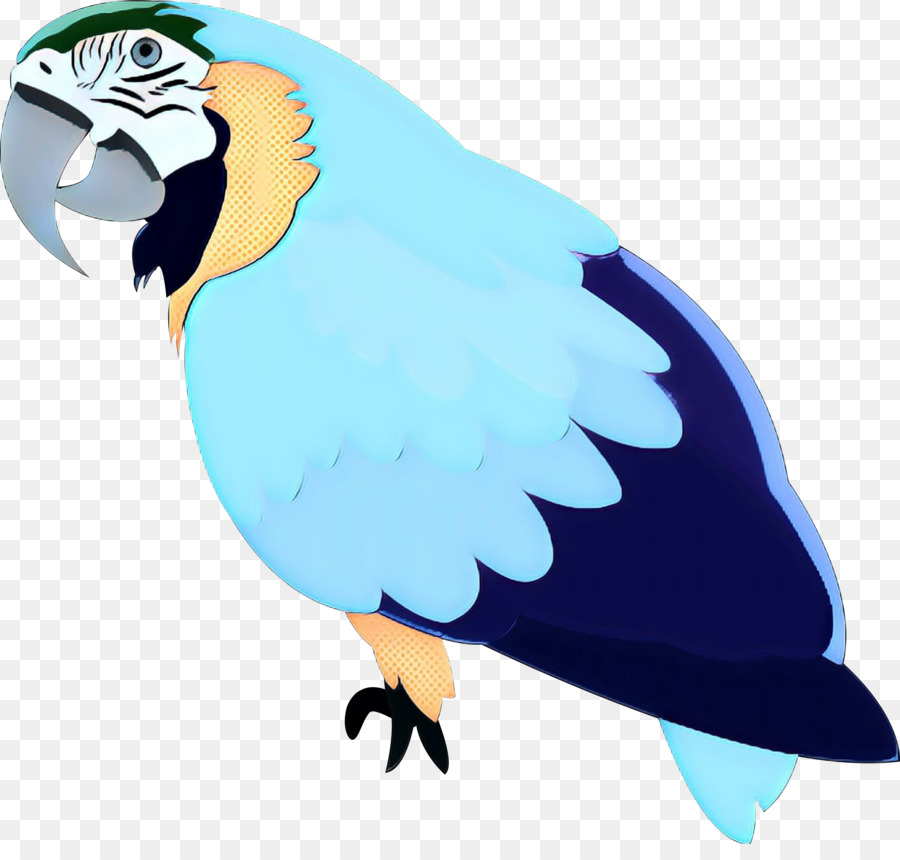 Loro Azul，Animal PNG