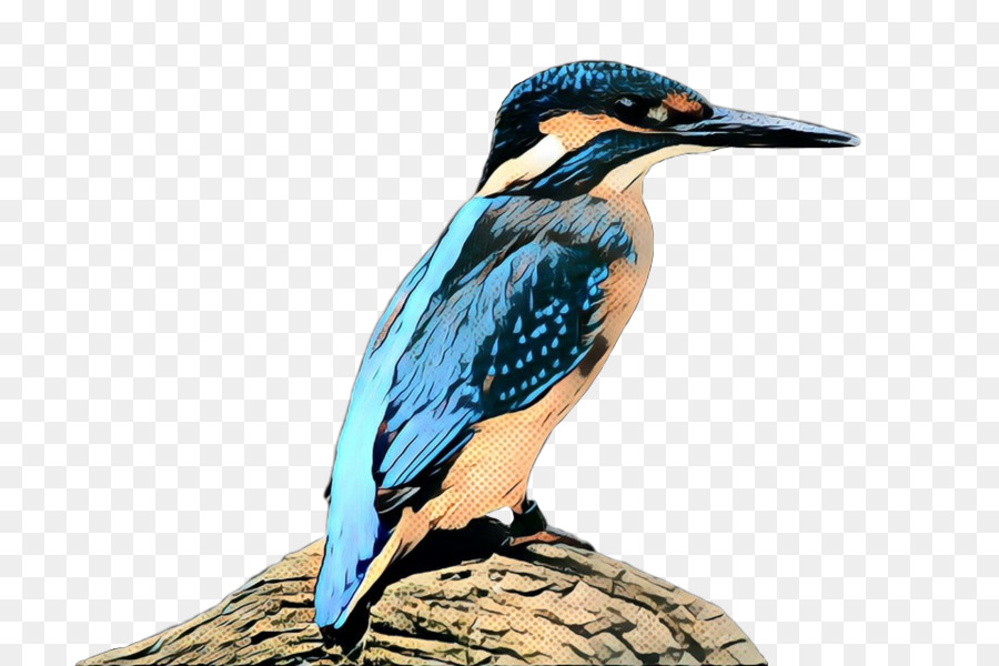 Pájaro Azul，Rama PNG