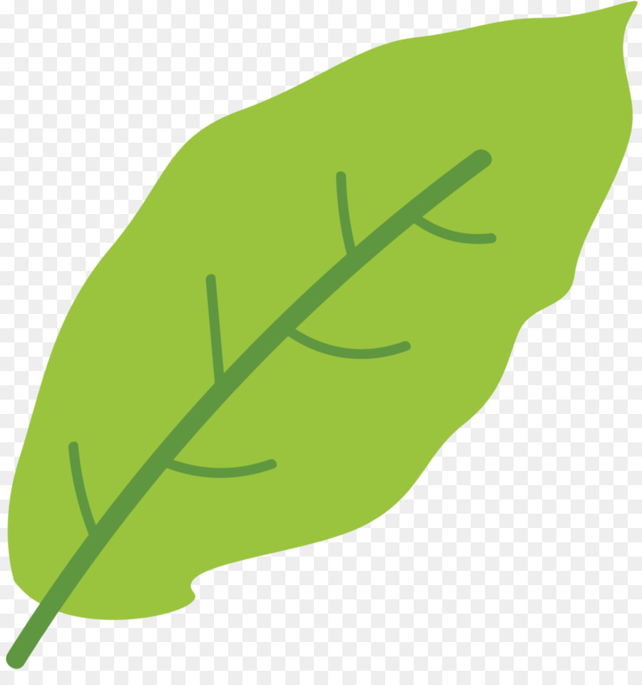 Hoja，Tallo De La Planta PNG