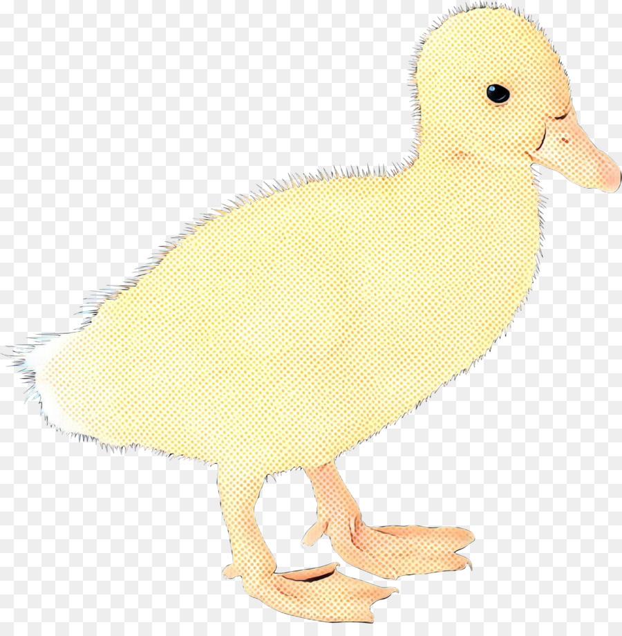 Pato，Ganso PNG