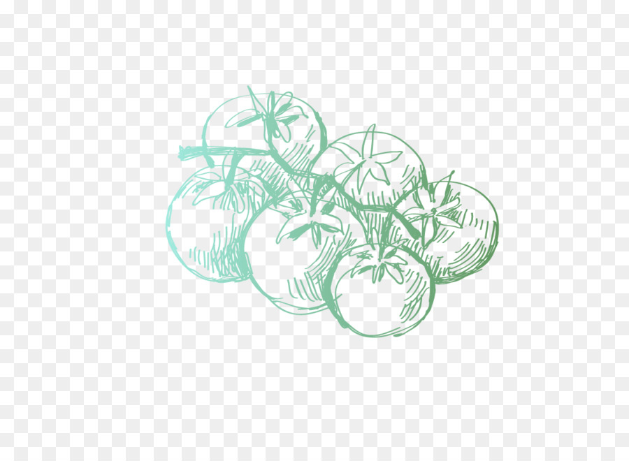 Nutrición，Dibujo PNG