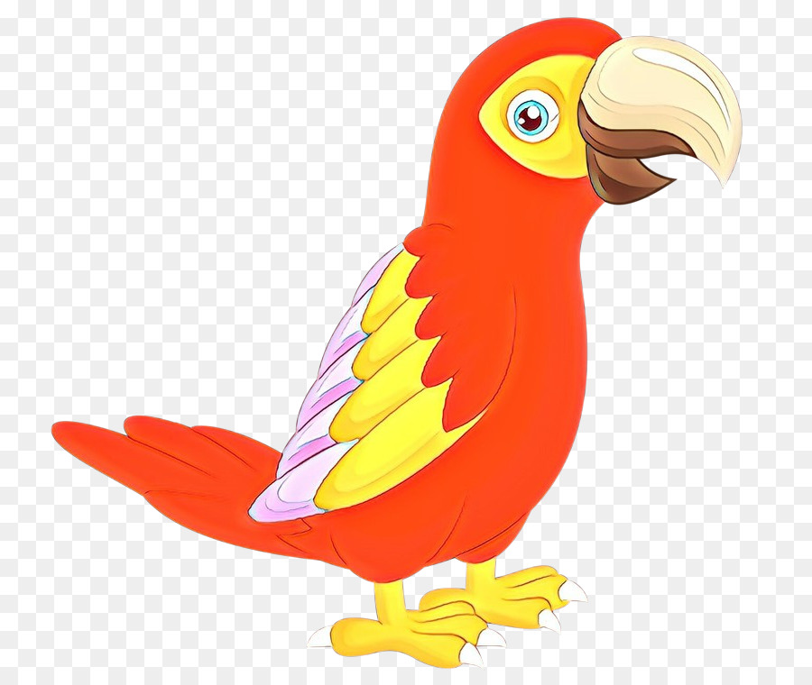 Loro，Pájaro PNG