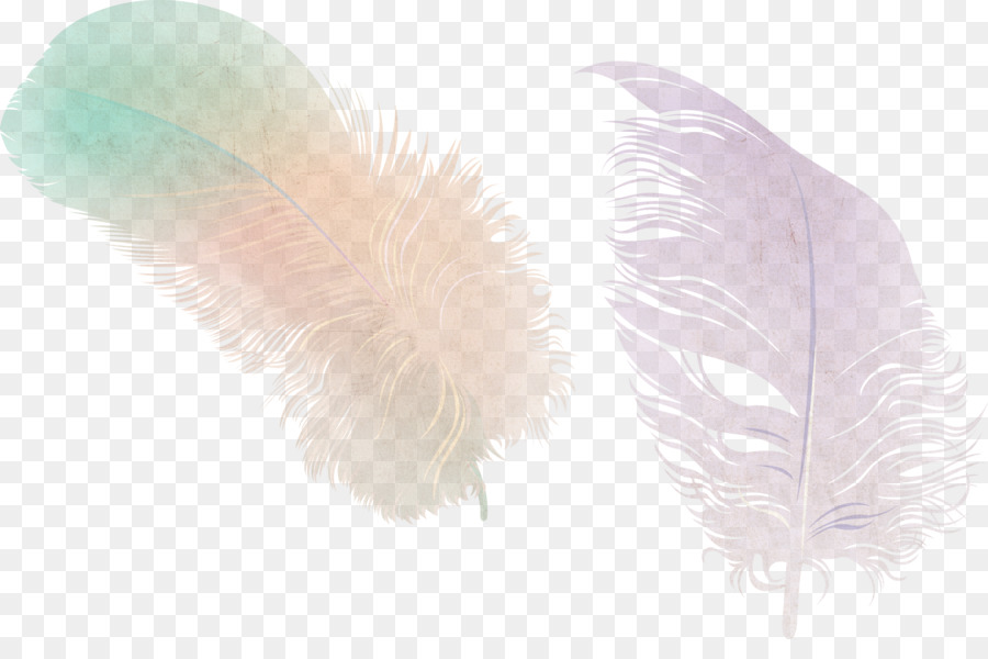 Pluma，Lápiz PNG