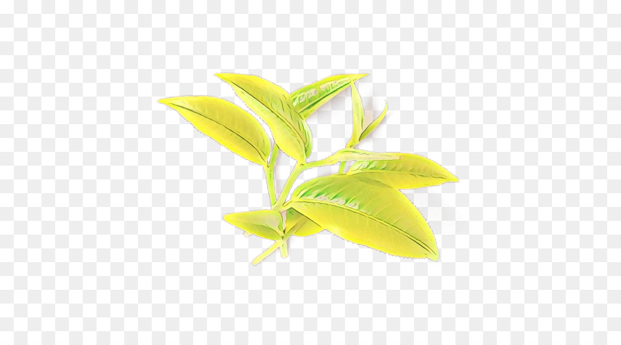 Hojas Verdes，Naturaleza PNG