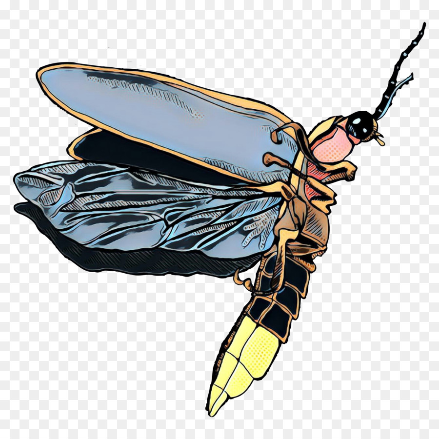 La Miel De Abeja，Iconos De Equipo PNG